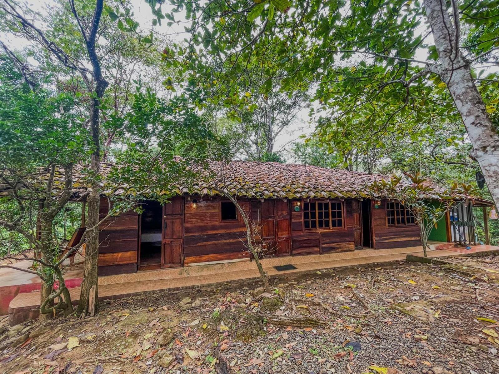 Eco Venao Lodge, פלאיה ונאו מראה חיצוני תמונה