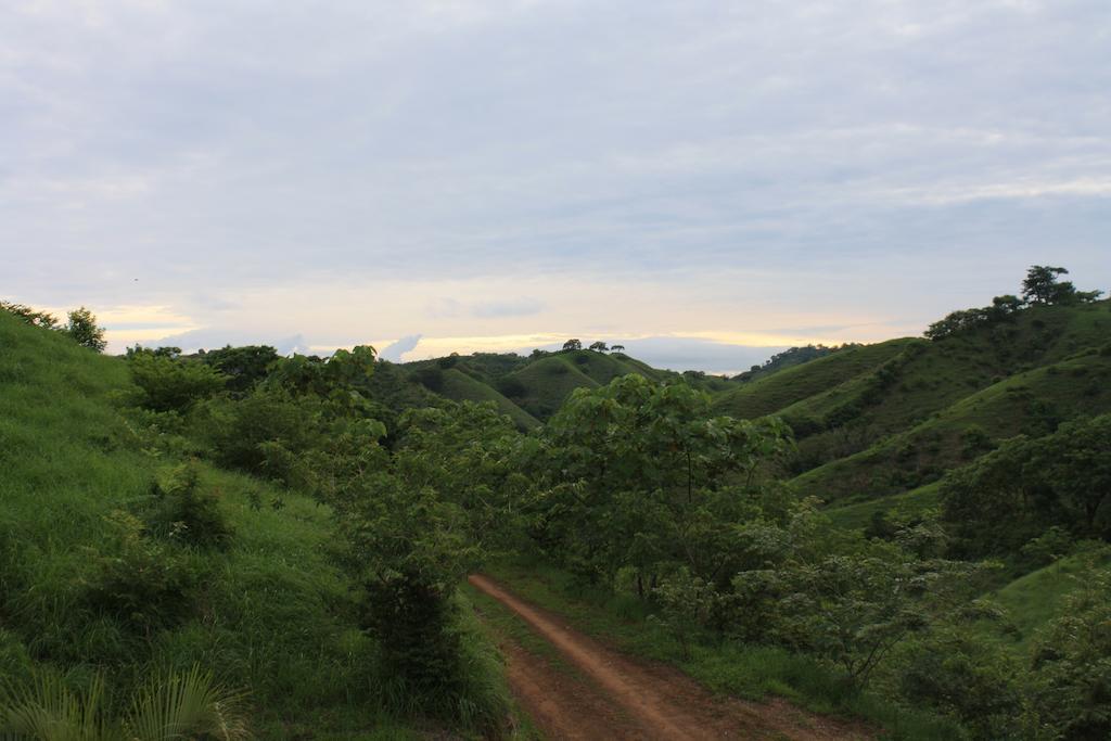 Eco Venao Lodge, פלאיה ונאו חדר תמונה