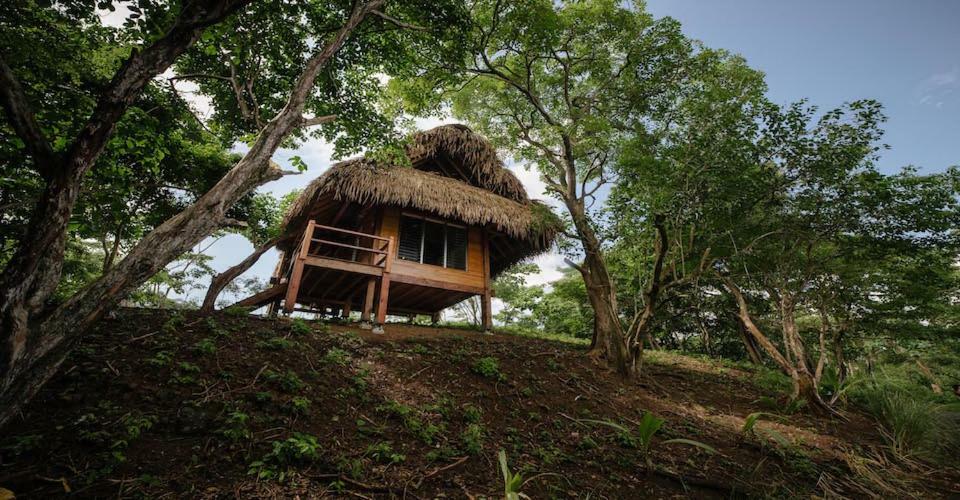 Eco Venao Lodge, פלאיה ונאו מראה חיצוני תמונה