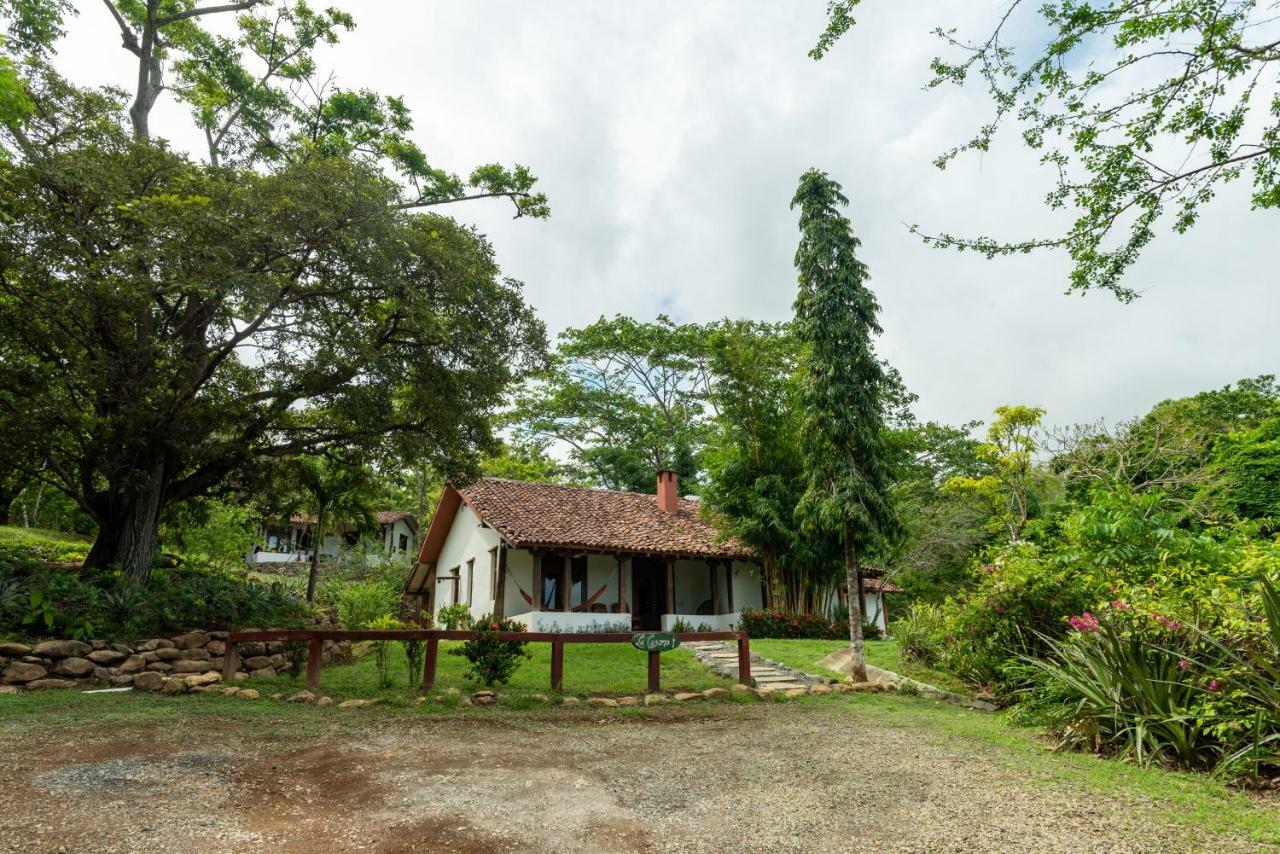 Eco Venao Lodge, פלאיה ונאו מראה חיצוני תמונה